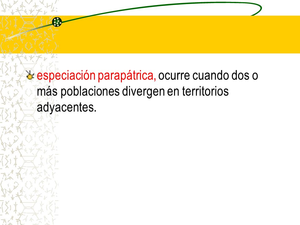 especiación parapátrica, ocurre cuando dos o más poblaciones divergen en territorios adyacentes.