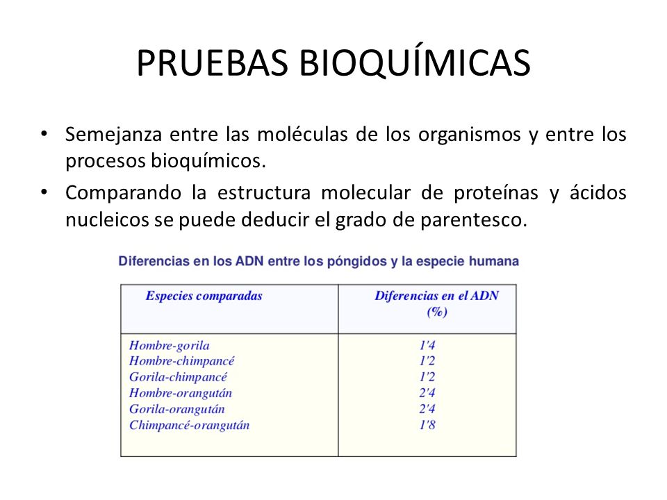 PRUEBAS BIOQUÍMICAS Semejanza entre las moléculas de los organismos y entre los procesos bioquímicos.