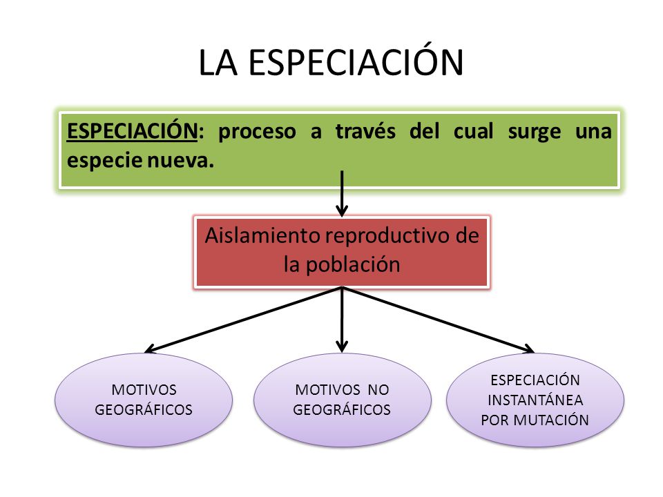 LA ESPECIACIÓN ESPECIACIÓN: proceso a través del cual surge una especie nueva. Aislamiento reproductivo de la población.