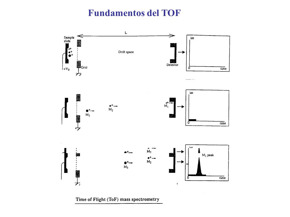 Fundamentos del TOF -todo lo que entra se ve: alta eficiencia detección. -potencialmente mucha resolución: depende de fuente de iones.