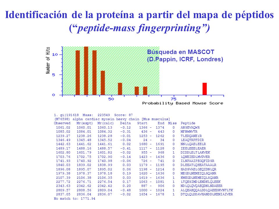 Identificación de la proteína a partir del mapa de péptidos