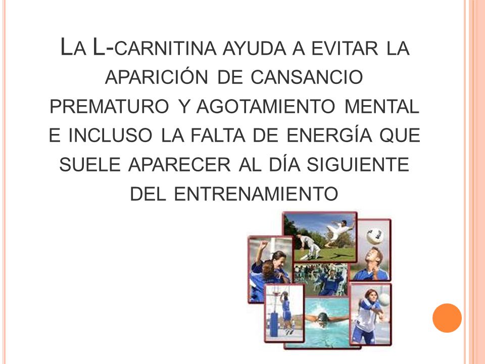 La L-carnitina ayuda a evitar la aparición de cansancio prematuro y agotamiento mental e incluso la falta de energía que suele aparecer al día siguiente del entrenamiento