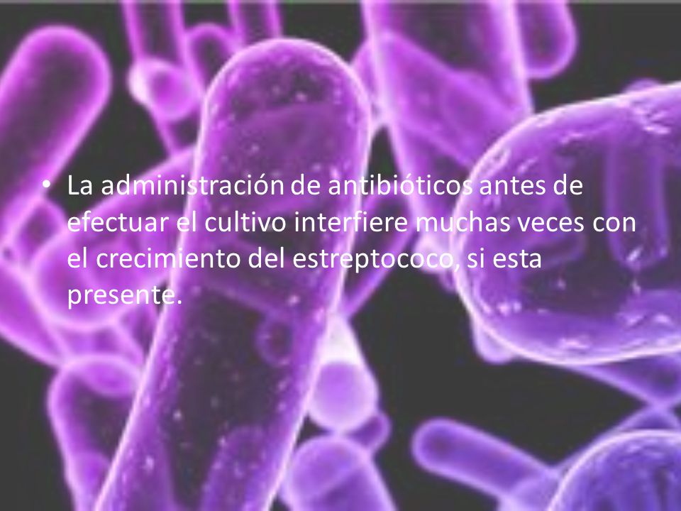 La administración de antibióticos antes de efectuar el cultivo interfiere muchas veces con el crecimiento del estreptococo, si esta presente.