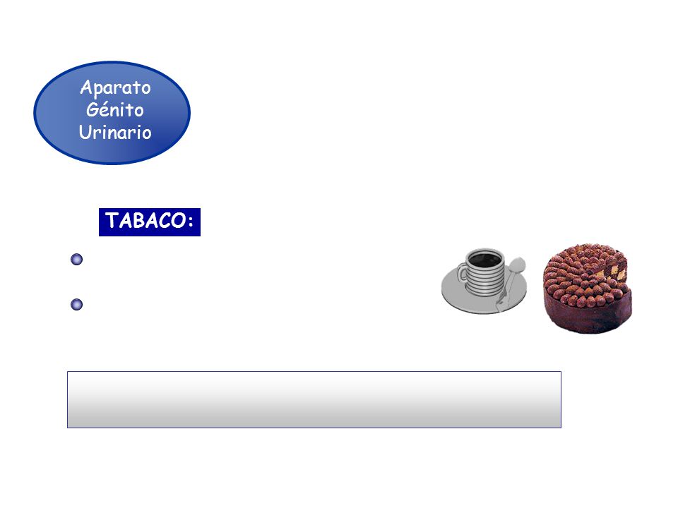 Aparato Génito. Urinario. Nefritis Crónica, impotencia. TABACO: Cáncer de pulmón, labios, laringe,