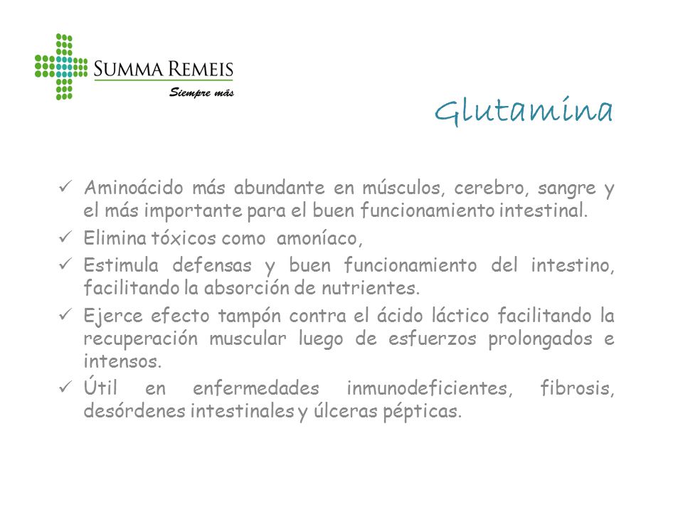 Glutamina Aminoácido más abundante en músculos, cerebro, sangre y el más importante para el buen funcionamiento intestinal.