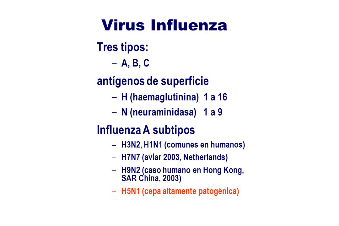 Virus Influenza Tres tipos: antígenos de superficie