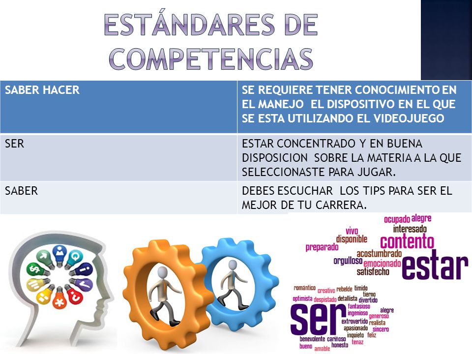ESTÁNDARES DE COMPETENCIAS