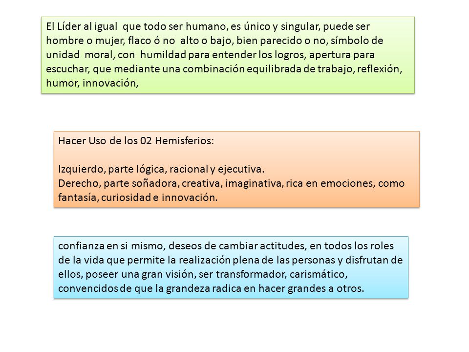 El Líder al igual que todo ser humano, es único y singular, puede ser hombre o mujer, flaco ó no alto o bajo, bien parecido o no, símbolo de unidad moral, con humildad para entender los logros, apertura para escuchar, que mediante una combinación equilibrada de trabajo, reflexión, humor, innovación,