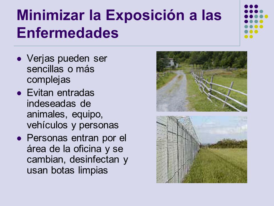 Minimizar la Exposición a las Enfermedades