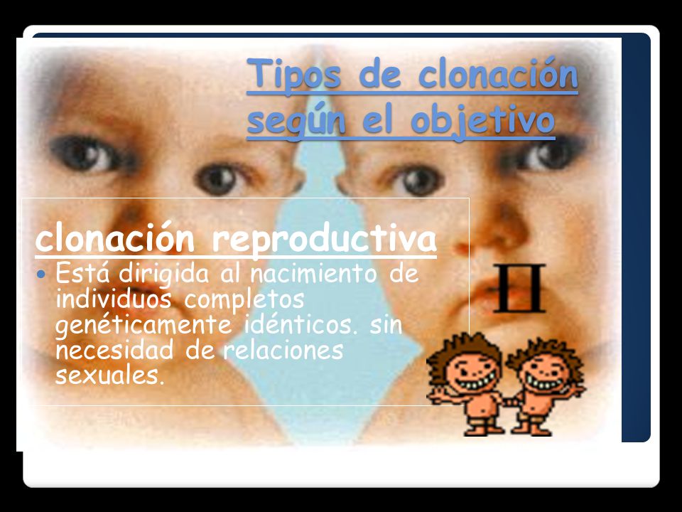 Tipos de clonación según el objetivo