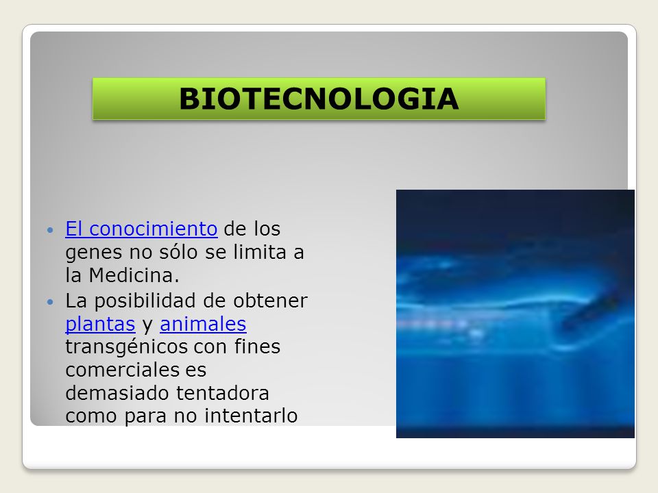 BIOTECNOLOGIA El conocimiento de los genes no sólo se limita a la Medicina.