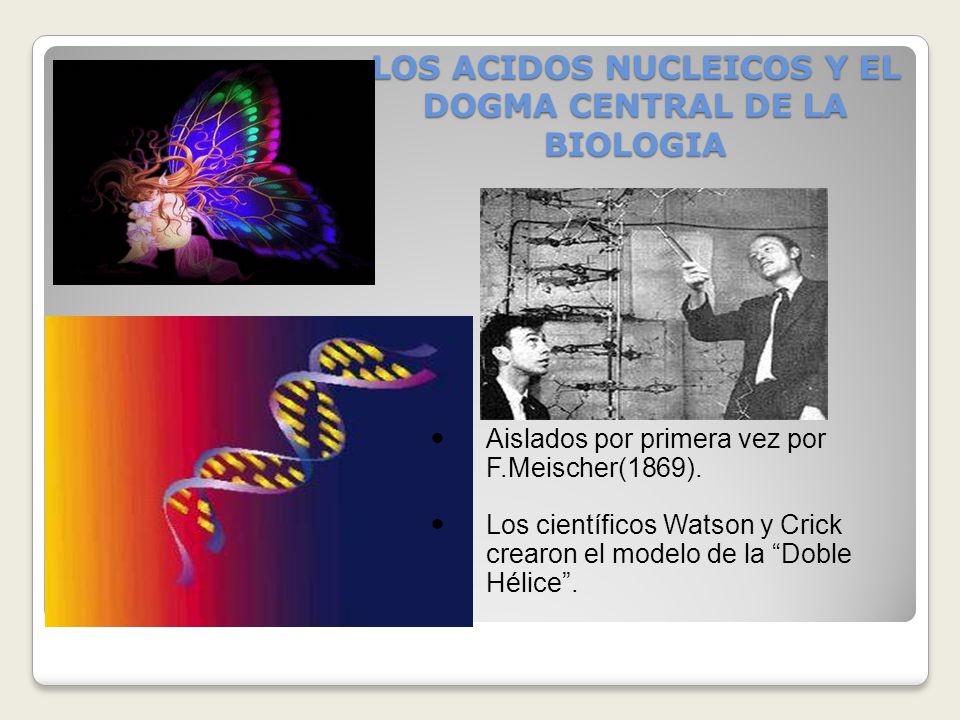 LOS ACIDOS NUCLEICOS Y EL DOGMA CENTRAL DE LA BIOLOGIA