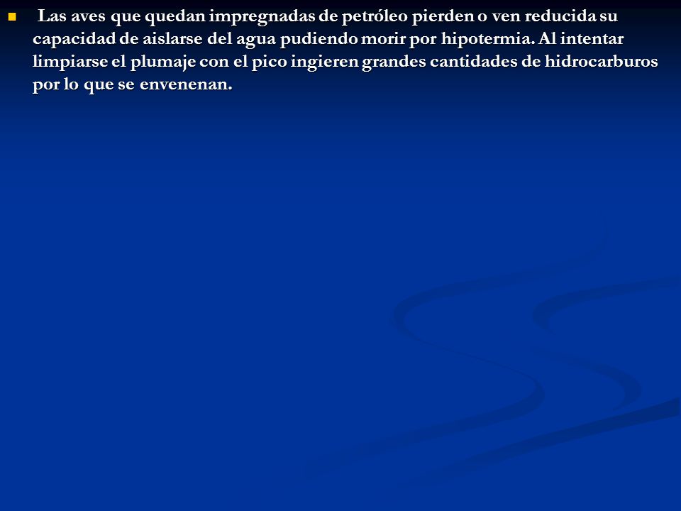 Las aves que quedan impregnadas de petróleo pierden o ven reducida su capacidad de aislarse del agua pudiendo morir por hipotermia.