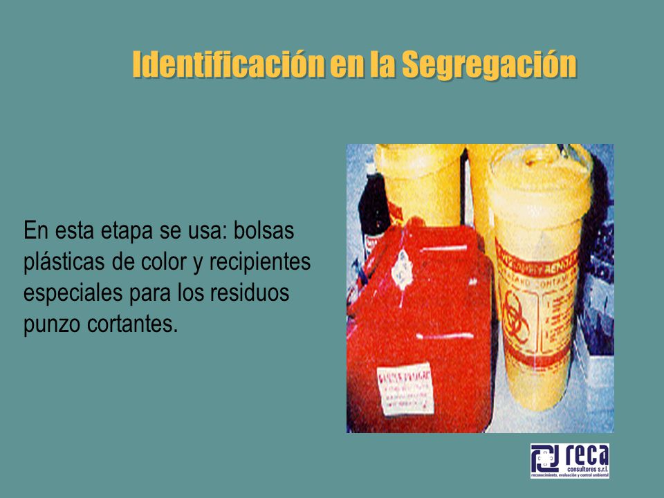 Identificación en la Segregación