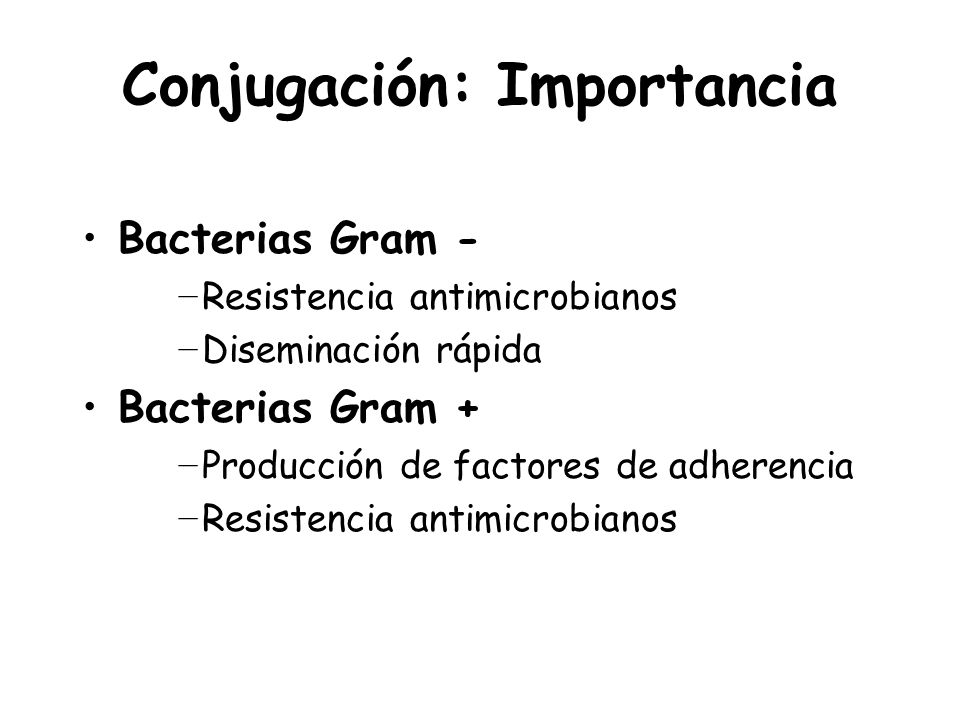 Conjugación: Importancia