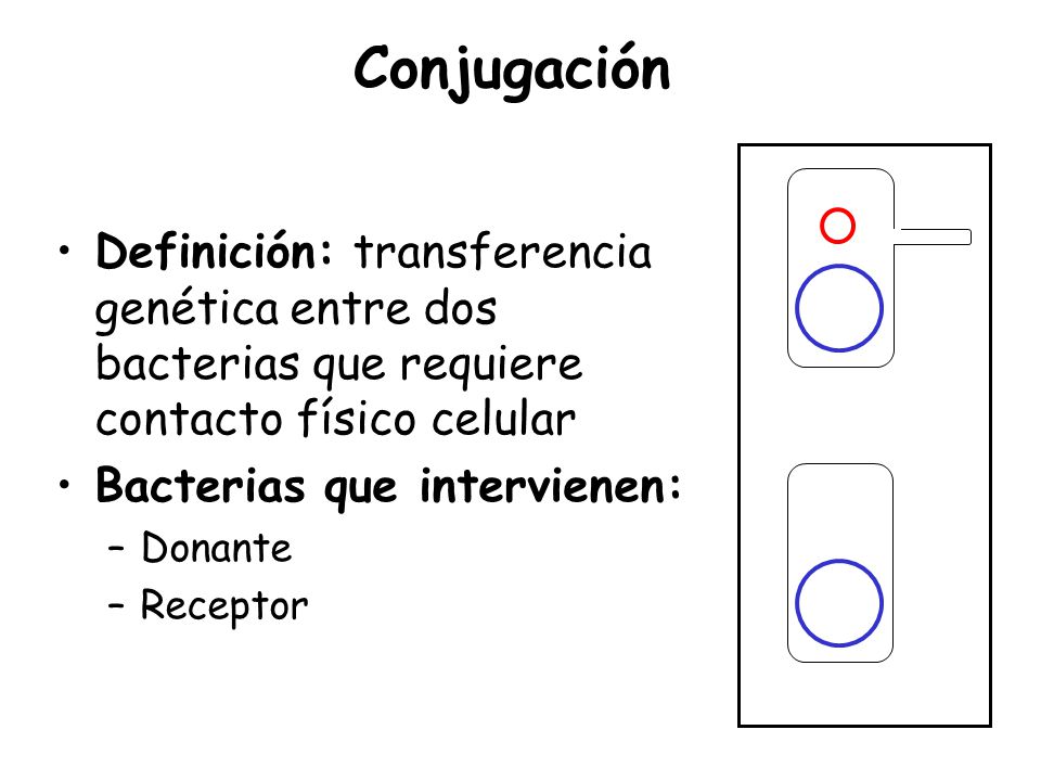 Conjugación Donor. Definición: transferencia genética entre dos bacterias que requiere contacto físico celular.