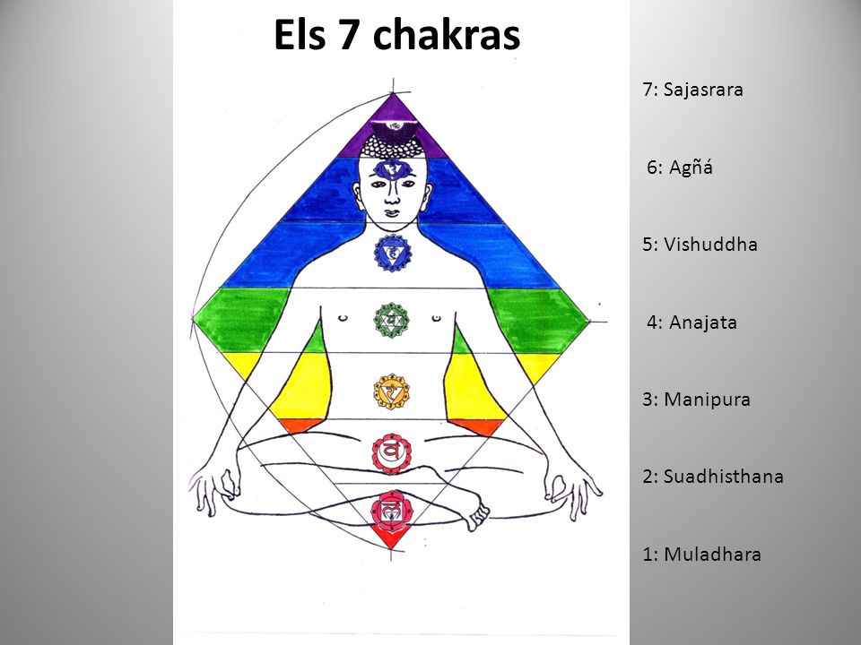Els 7 chakras 7: Sajasrara 6: Agñá 5: Vishuddha 4: Anajata 3: Manipura