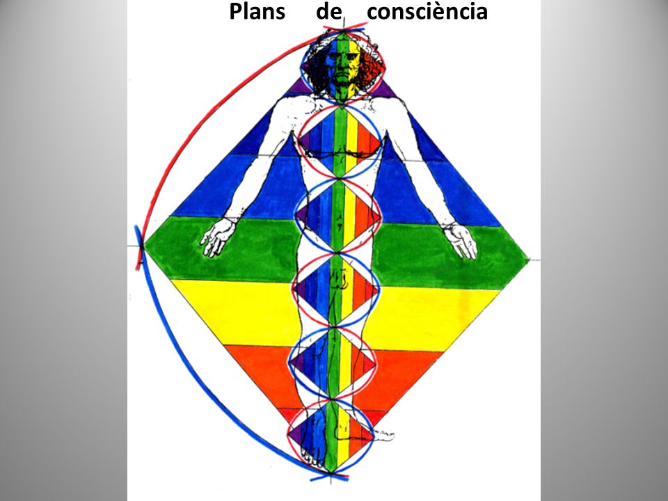 Plans de consciència