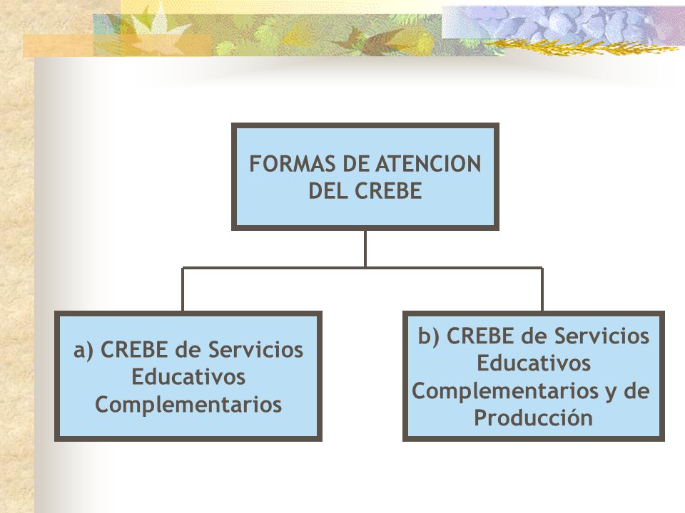 FORMAS DE ATENCION DEL CREBE. a) CREBE de Servicios. Educativos. Complementarios. b) CREBE de Servicios.