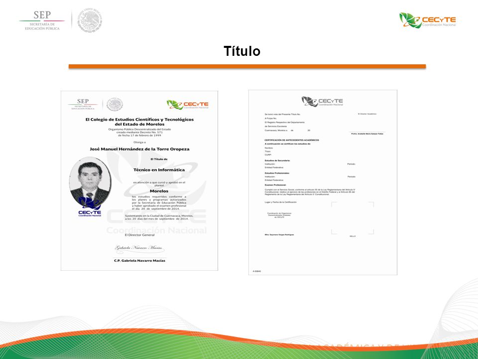 Título ÁREA ACADÉMICA Y DE VINCULACIÓN