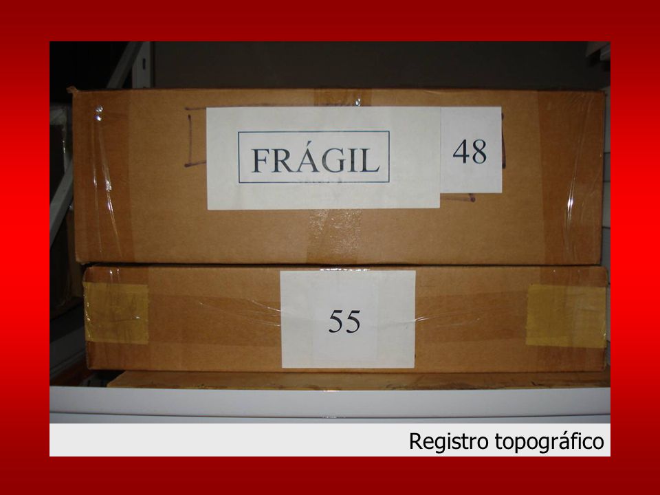 Registro topográfico