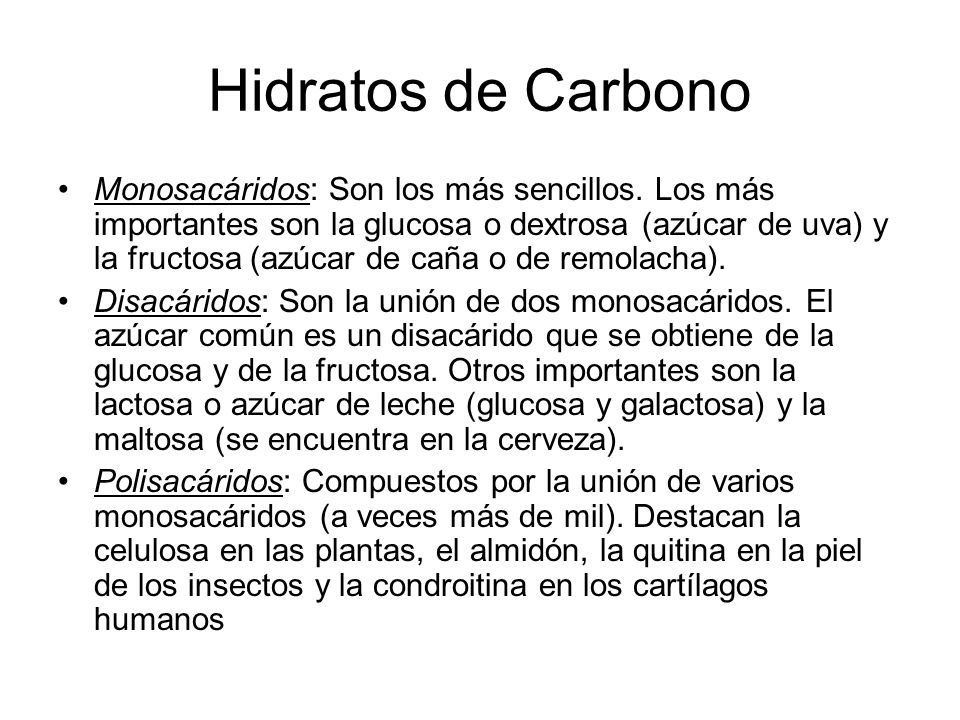 Hidratos de Carbono