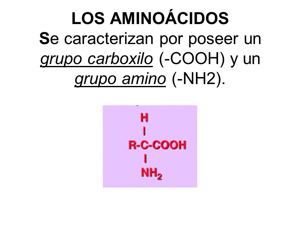 LOS AMINOÁCIDOS Se caracterizan por poseer un grupo carboxilo (-COOH) y un grupo amino (-NH2).