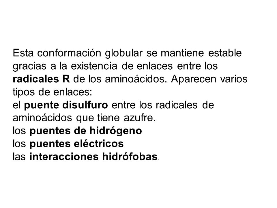 Esta conformación globular se mantiene estable gracias a la existencia de enlaces entre los radicales R de los aminoácidos. Aparecen varios tipos de enlaces: