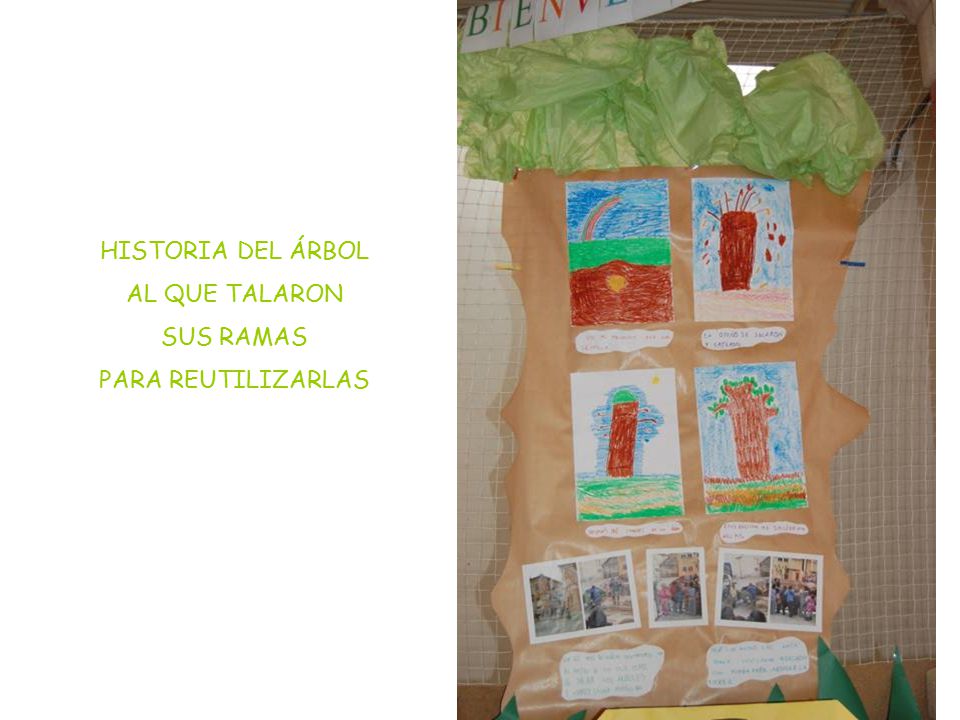 HISTORIA DEL ÁRBOL AL QUE TALARON SUS RAMAS PARA REUTILIZARLAS