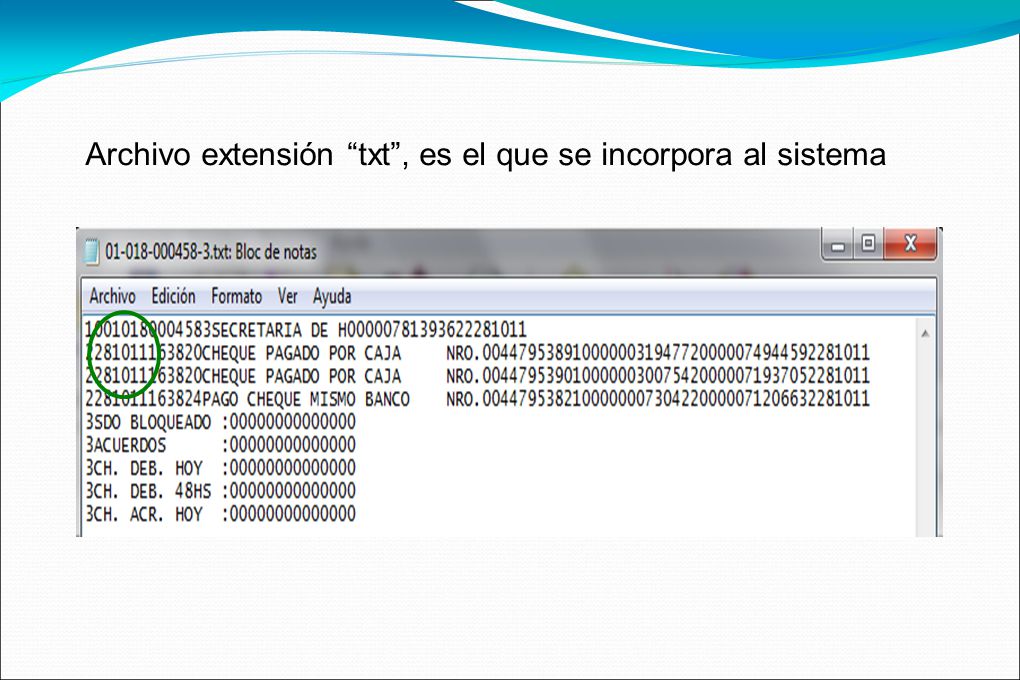 Archivo extensión txt , es el que se incorpora al sistema