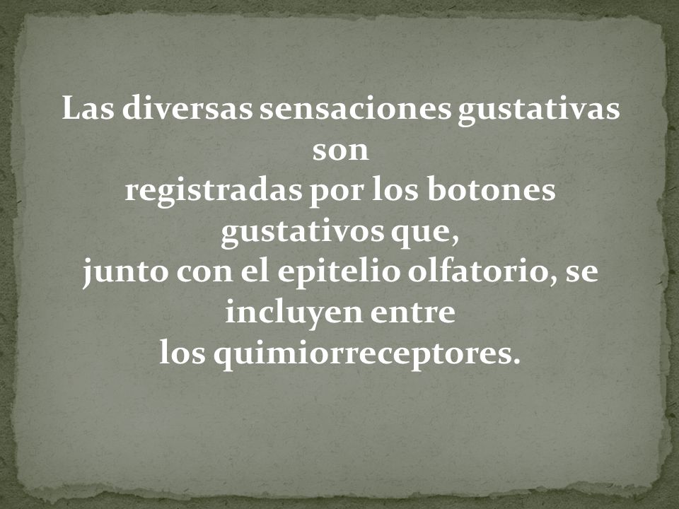 Las diversas sensaciones gustativas son registradas por los botones gustativos que, junto con el epitelio olfatorio, se incluyen entre los quimiorreceptores.
