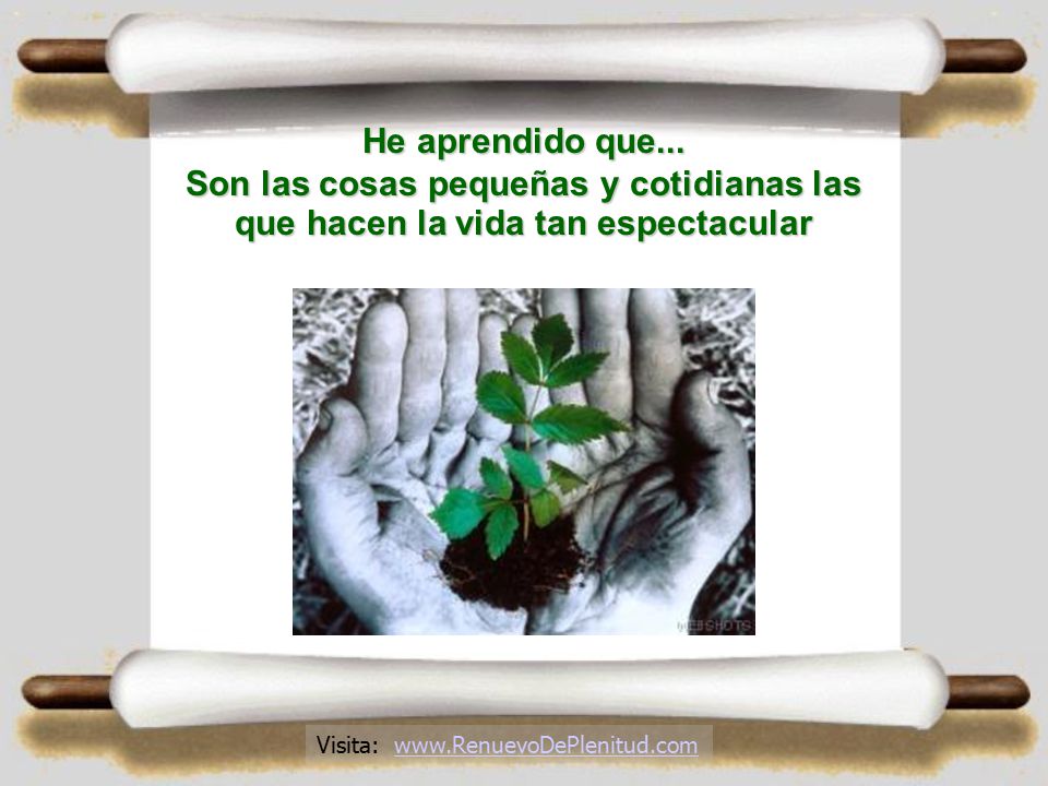 He aprendido que... Son las cosas pequeñas y cotidianas las que hacen la vida tan espectacular