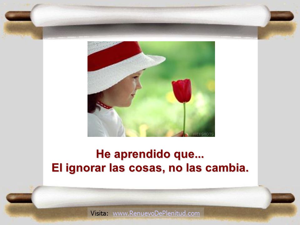 He aprendido que... El ignorar las cosas, no las cambia.