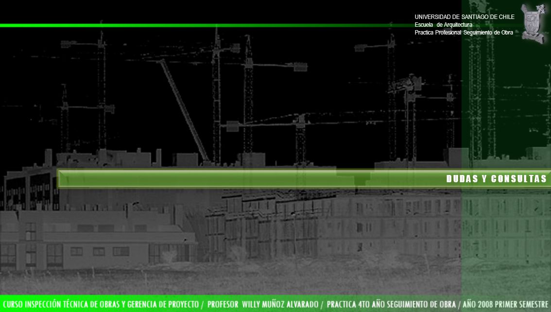 D U D A S Y C O N S U L T A S UNIVERSIDAD DE SANTIAGO DE CHILE