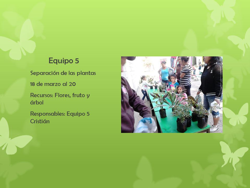 Equipo 5 Separación de las plantas 18 de marzo al 20