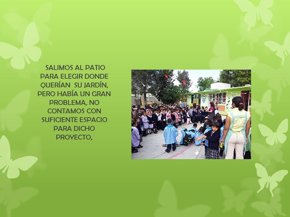SALIMOS AL PATIO PARA ELEGIR DONDE QUERÍAN SU JARDÍN, PERO HABÍA UN GRAN PROBLEMA, NO CONTAMOS CON SUFICIENTE ESPACIO PARA DICHO PROYECTO,