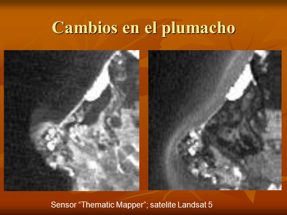 Cambios en el plumacho Sensor Thematic Mapper ; satelite Landsat 5