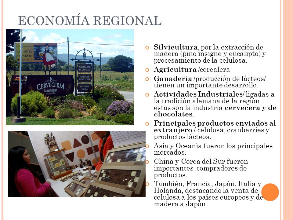ECONOMÍA REGIONAL Silvicultura, por la extracción de madera (pino insigne y eucalipto) y procesamiento de la celulosa.