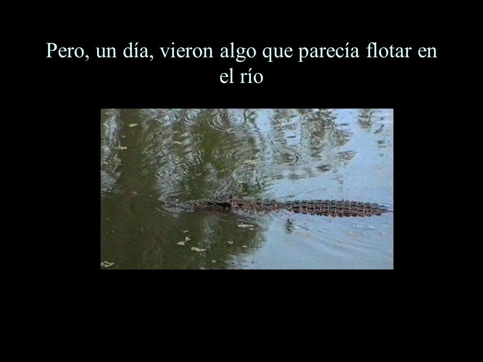 Pero, un día, vieron algo que parecía flotar en el río
