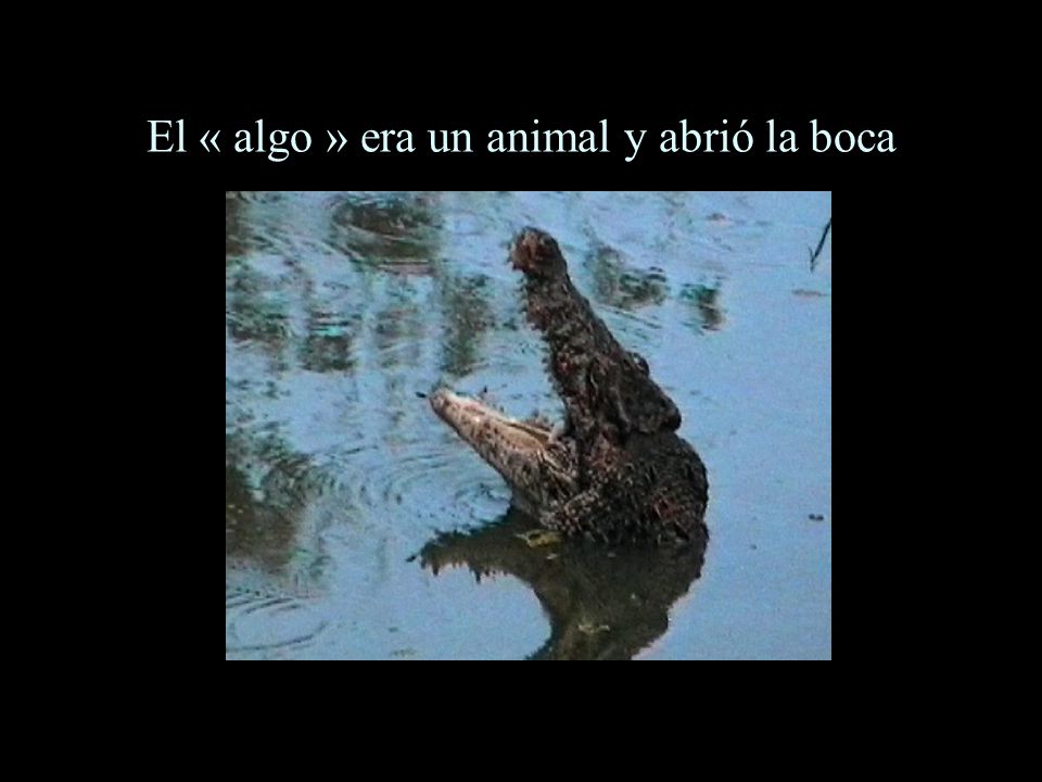 El « algo » era un animal y abrió la boca