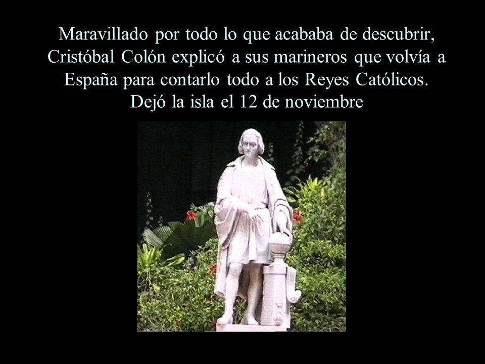 Maravillado por todo lo que acababa de descubrir, Cristóbal Colón explicó a sus marineros que volvía a España para contarlo todo a los Reyes Católicos.