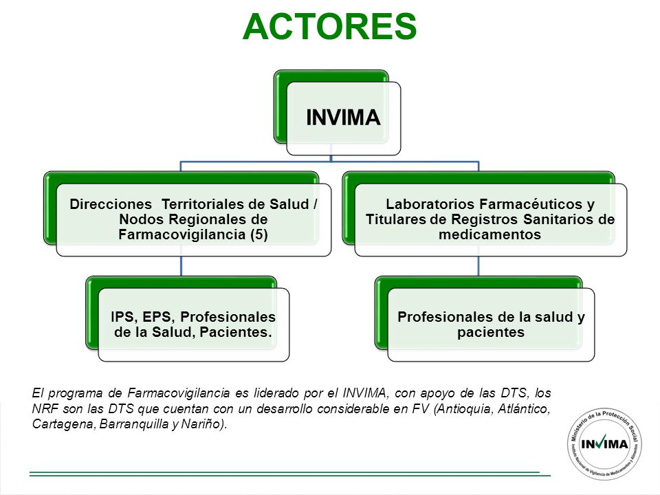 ACTORES INVIMA. Direcciones Territoriales de Salud / Nodos Regionales de Farmacovigilancia (5) IPS, EPS, Profesionales de la Salud, Pacientes.