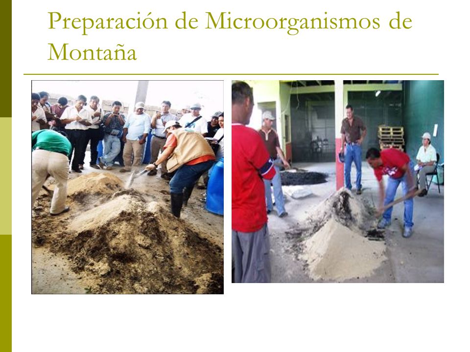 Preparación de Microorganismos de Montaña