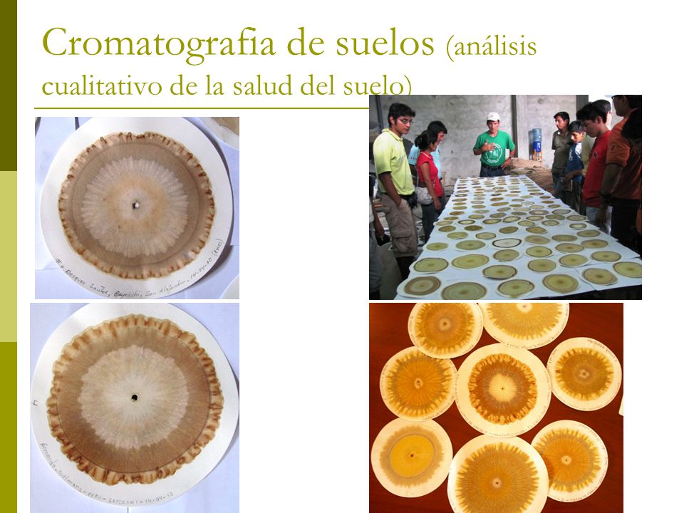 Cromatografia de suelos (análisis cualitativo de la salud del suelo)