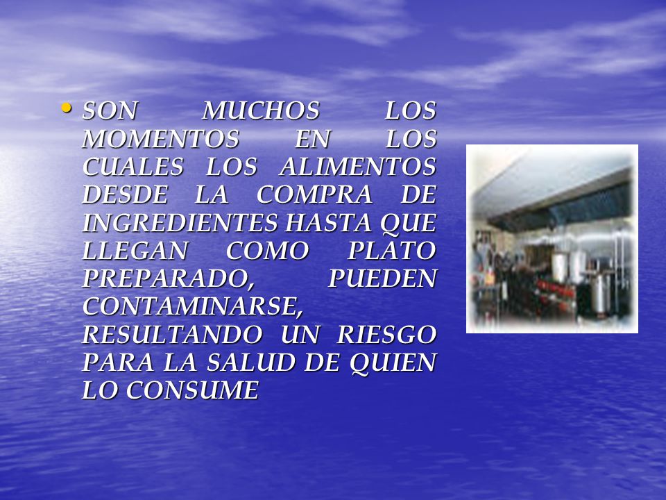 SON MUCHOS LOS MOMENTOS EN LOS CUALES LOS ALIMENTOS DESDE LA COMPRA DE INGREDIENTES HASTA QUE LLEGAN COMO PLATO PREPARADO, PUEDEN CONTAMINARSE, RESULTANDO UN RIESGO PARA LA SALUD DE QUIEN LO CONSUME