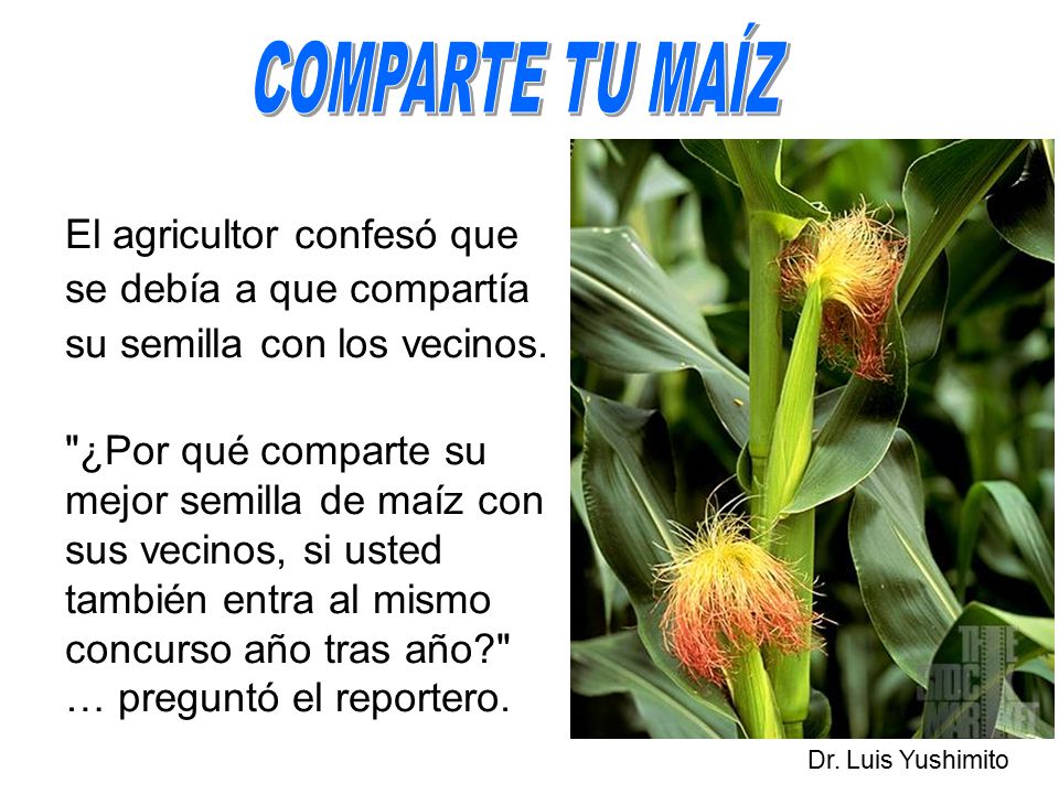 COMPARTE TU MAÍZ El agricultor confesó que se debía a que compartía su semilla con los vecinos.