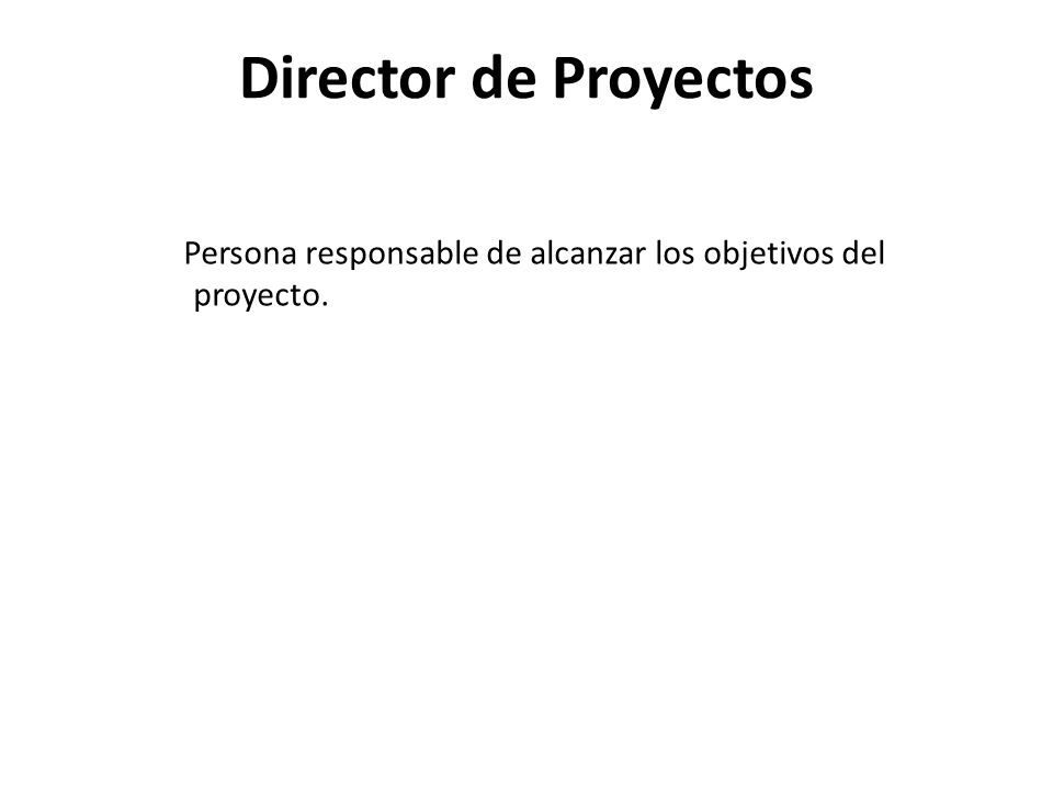 Director de Proyectos Persona responsable de alcanzar los objetivos del proyecto.