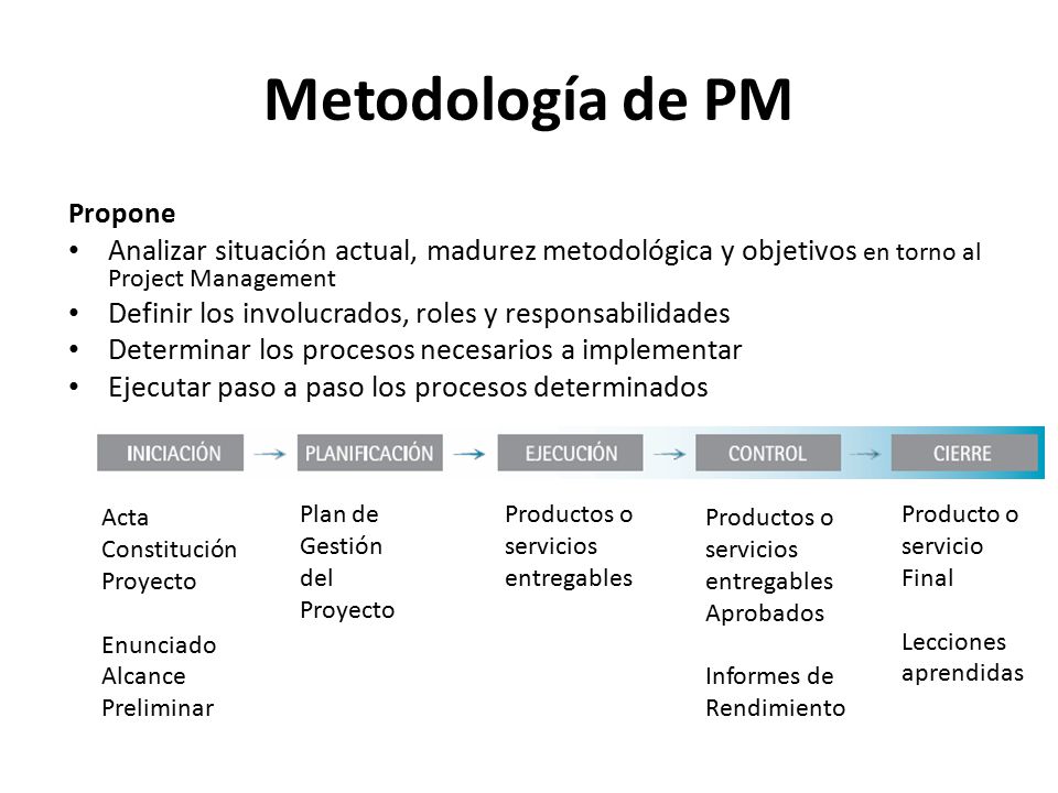 Metodología de PM Propone. Analizar situación actual, madurez metodológica y objetivos en torno al Project Management.