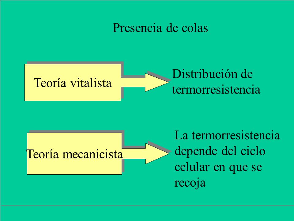 Presencia de colas Teoría vitalista. Distribución de. termorresistencia. La termorresistencia. depende del ciclo.
