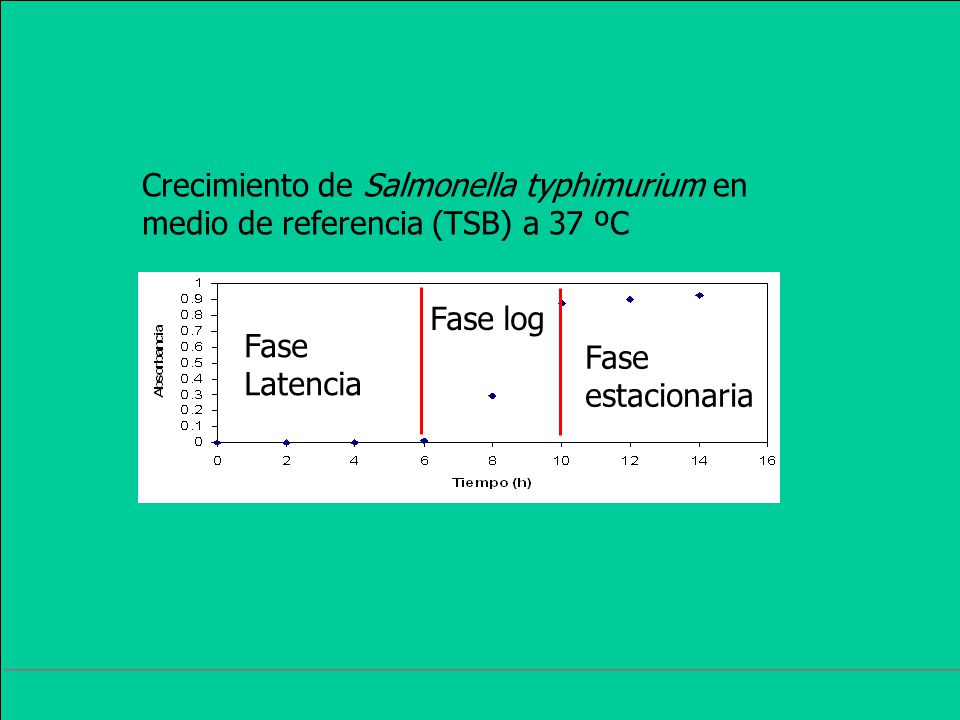 Crecimiento de Salmonella typhimurium en medio de referencia (TSB) a 37 ºC